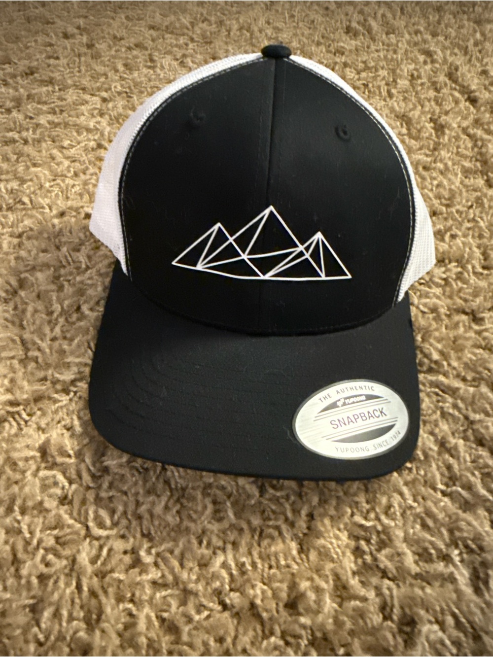 Black & White Mountain Logo Snapback Hat